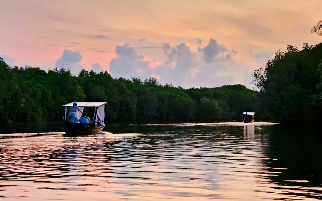 Koh Lanta Private Sunrise Gondola Boat Tour in Tung Yee Peng Mangroves with Breakfast Image 6
