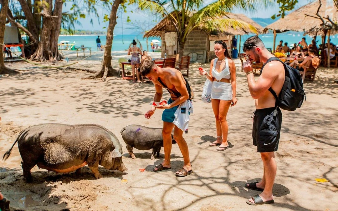Koh Samui Pig Island Speedboat Tour with Lunch and Transfers Image 6