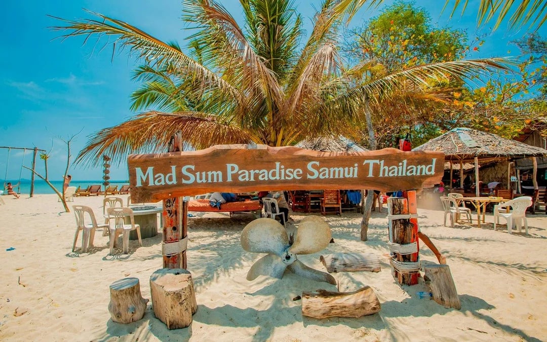 Koh Samui Pig Island Speedboat Tour with Lunch and Transfers Image 8