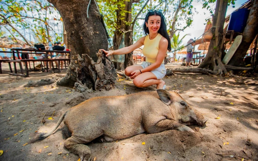 Koh Samui Pig Island Speedboat Tour with Lunch and Transfers Image 9