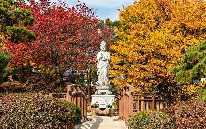 Korea Private Car and Driver Custom City Tour with Hotel Pickup and Flexible Itinerary Image 5