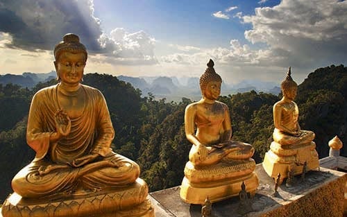 Krabi Jungle Tour, Small-Group 9 Guests: Hot Spring Spa, Emerald Pool, and Tiger Temple Avoid Crowds Image 2