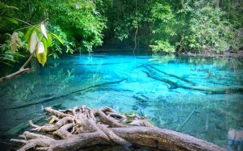 Krabi Jungle Tour, Small-Group 9 Guests: Hot Spring Spa, Emerald Pool, and Tiger Temple Avoid Crowds Image 3