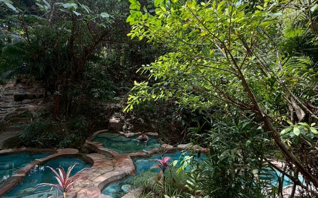 Krabi Jungle Tour, Small-Group 9 Guests: Hot Spring Spa, Emerald Pool, and Tiger Temple Avoid Crowds Image 4