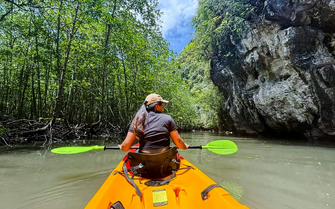 Krabi: Kayak Adventure through Ao Thalane Mangrove Forest Image 2
