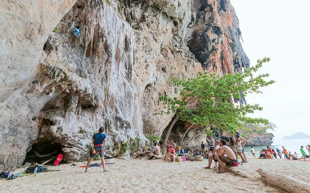 Krabi: Rock Climbing Course at Railay Beach with Hotel Transfers Image 7