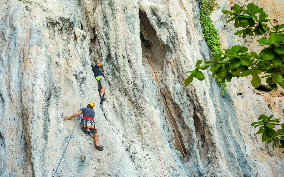 Krabi: Rock Climbing Course at Railay Beach with Hotel Transfers Image 9