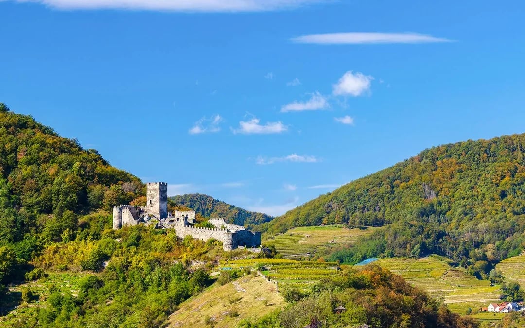 Krems & Melk: Wachau Valley Cruise on Danube River Image 7