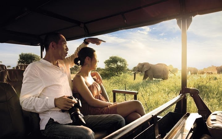 Kruger National Park Guided Safari Tour from Hazyview with Hotel Transfers Image 4