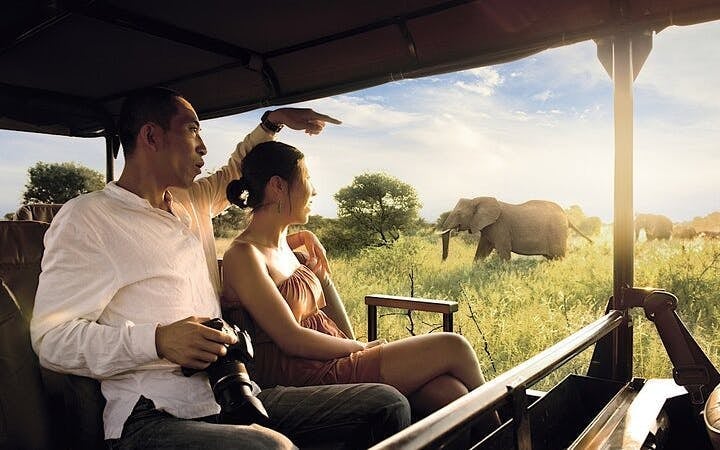 Kruger National Park: Overland Big 5 Safari Tour with Sunset Drive in Balule Reserve Image 7