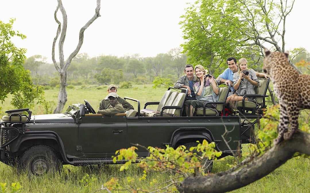 Kruger National Park Safari Tour with Hotel Pickup from Hazyview Image 1