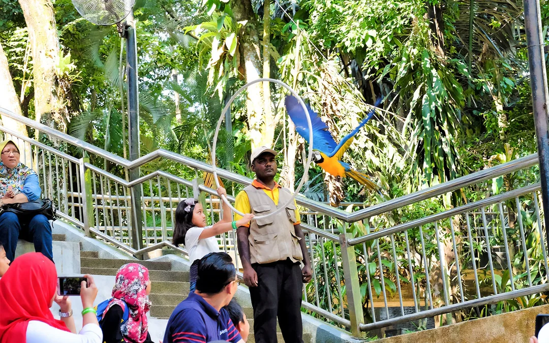 Kuala Lumpur Bird Park, Butterfly Park with Orchid and Hibiscus Garden Day Tour Image 1