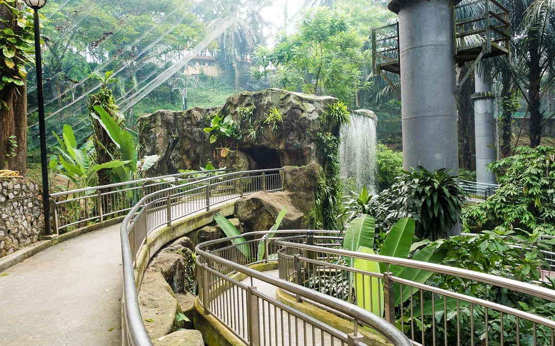 Kuala Lumpur Bird Park, Butterfly Park with Orchid and Hibiscus Garden Day Tour Image 12