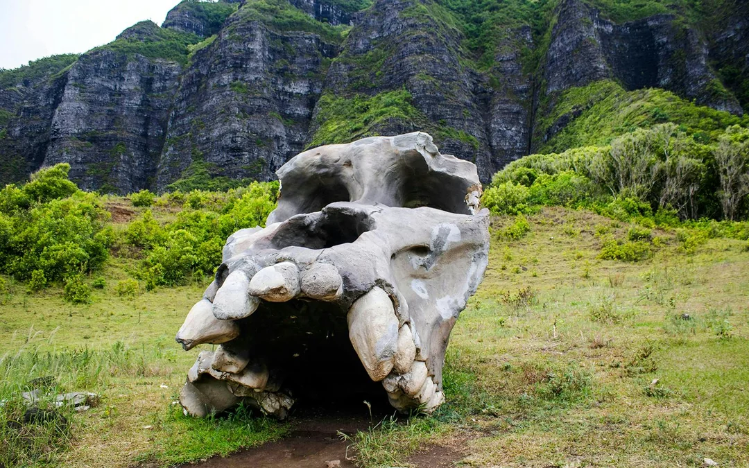 Kualoa Ranch: All-Inclusive Package Image 3
