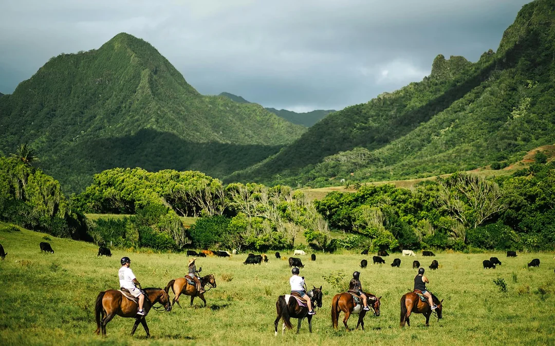 Kualoa Ranch: Horseback Walking Tour Image 1
