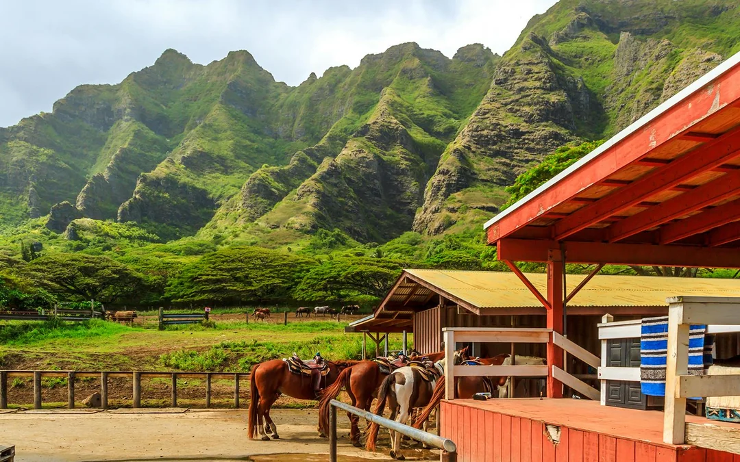 Kualoa Ranch: Horseback Walking Tour Image 2