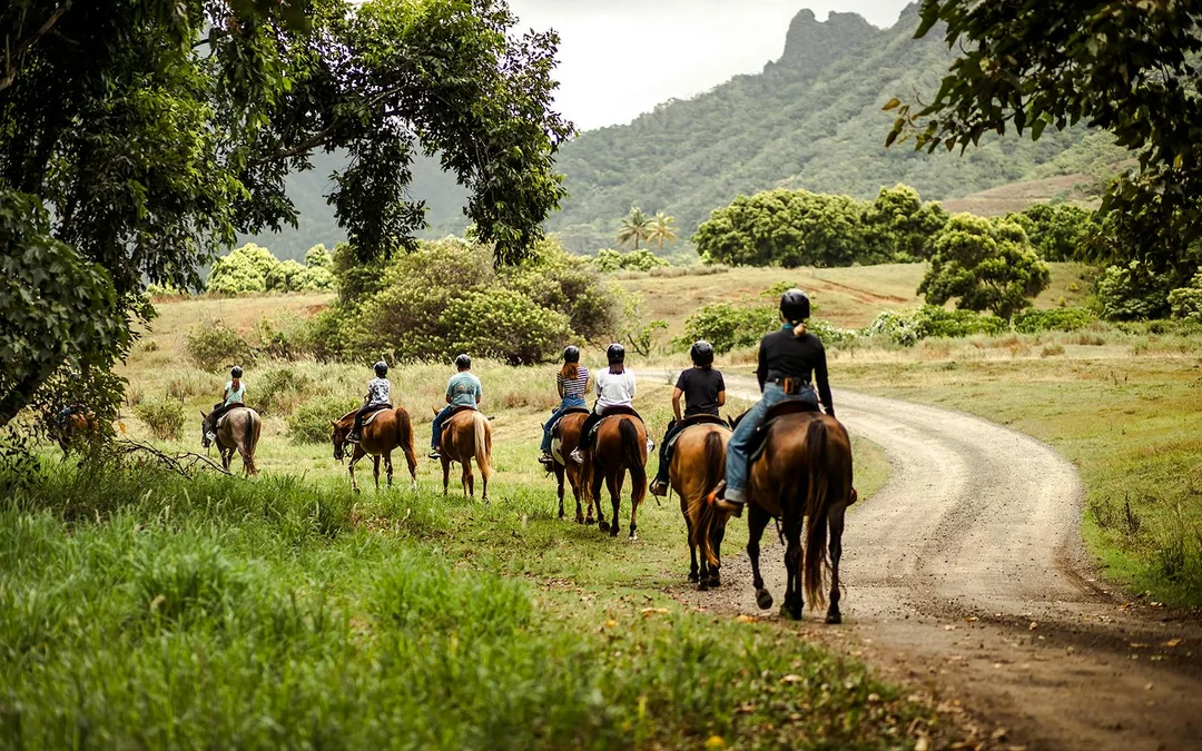 Kualoa Ranch: Horseback Walking Tour Image 3