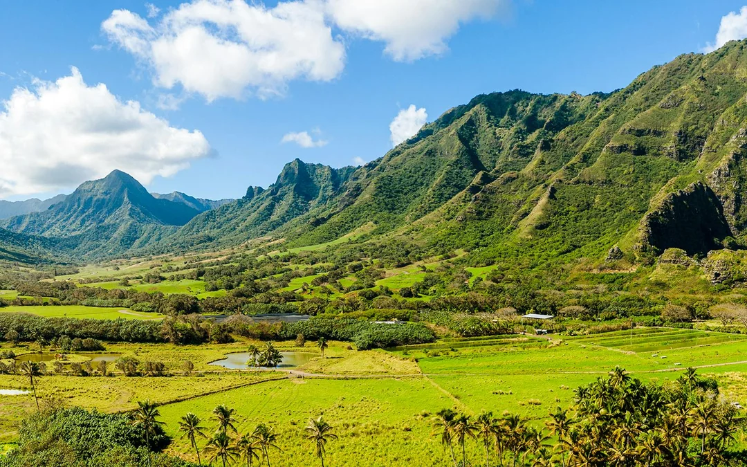 Kualoa Ranch: Horseback Walking Tour Image 6