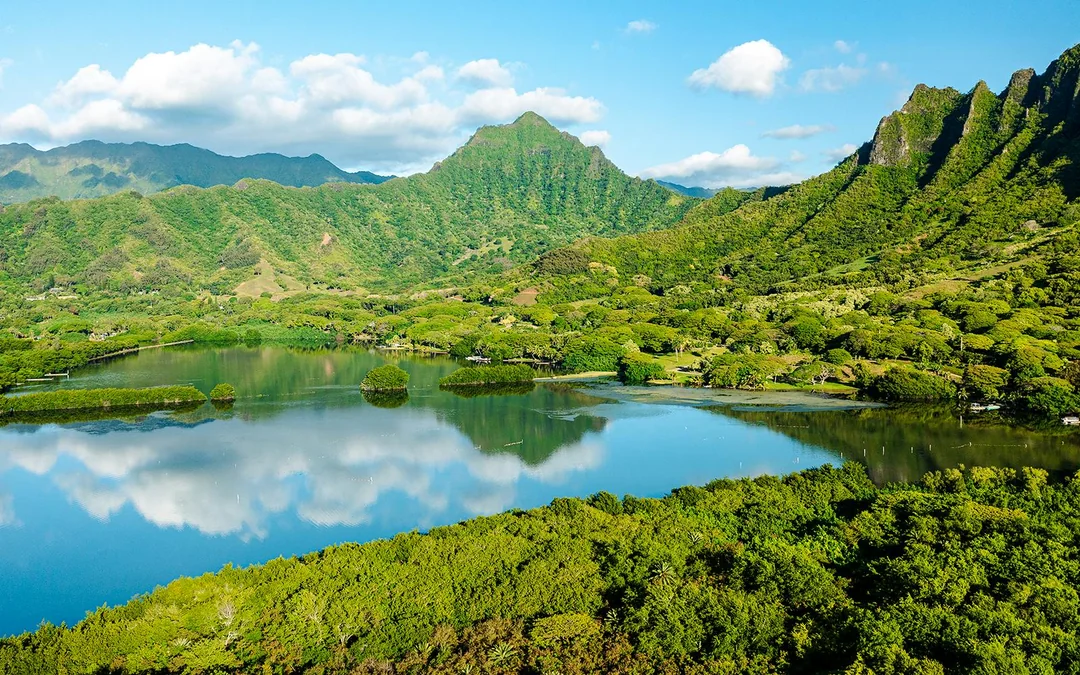 Kualoa Ranch: Jungle Expedition Tour Image 2
