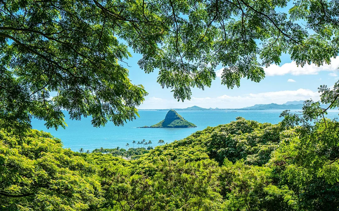 Kualoa Ranch: Jungle Expedition Tour Image 6