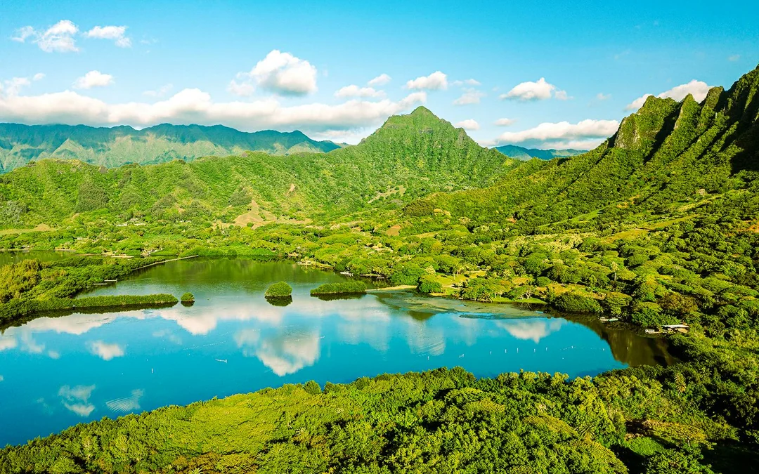 Kualoa Ranch: Kualoa Grown Tour Image 5