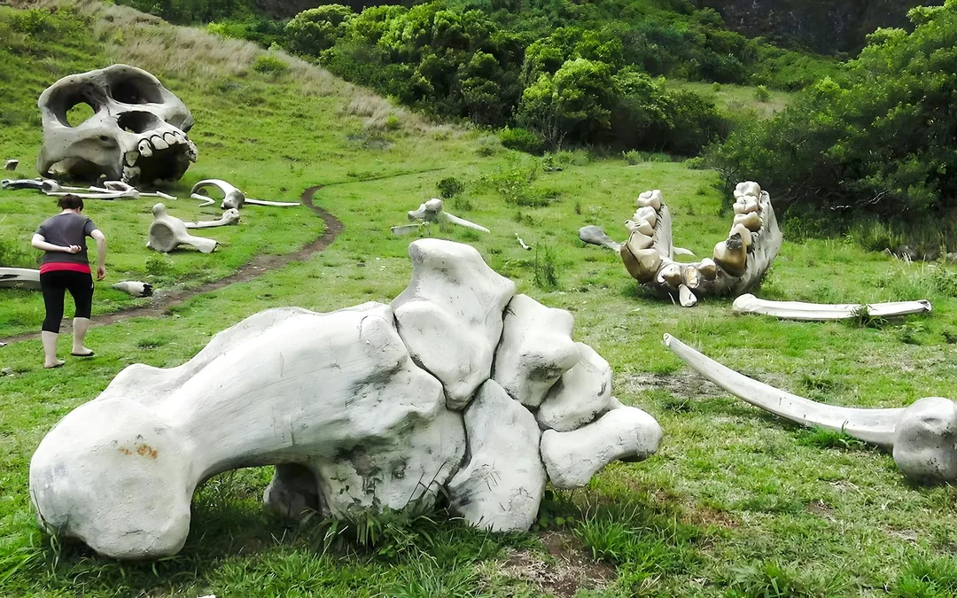 Kualoa Ranch: Movie Sites and Ranch Tour Image 5