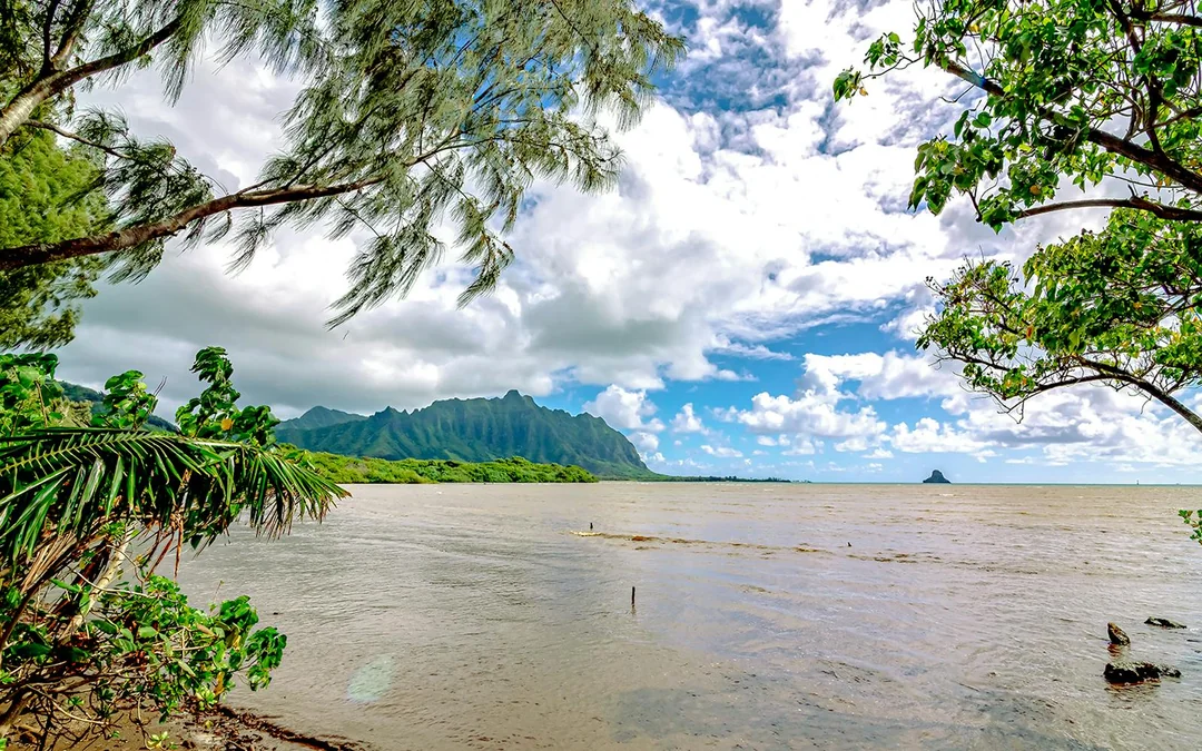 Kualoa Ranch: Secret Island Beach Activities Image 5