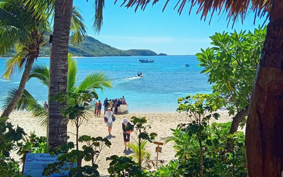 Kuata Island Marine Conservation Experience With Lunch Image 6