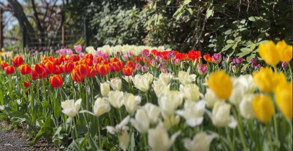 Kuju Flower Park Admission Ticket (Taketa City, Oita Prefecture)