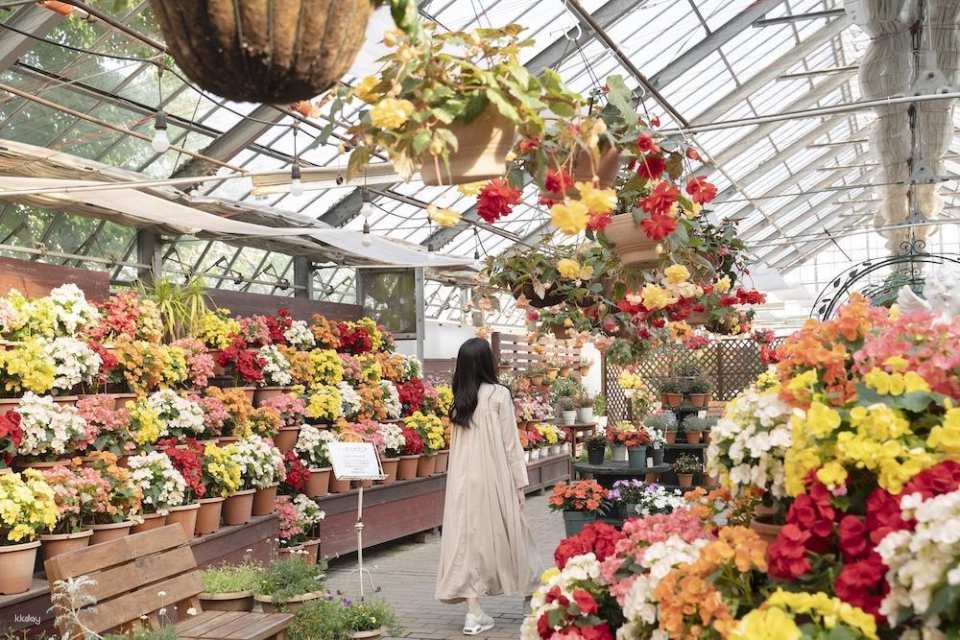 Kuju Flower Park Admission Ticket (Taketa City, Oita Prefecture)