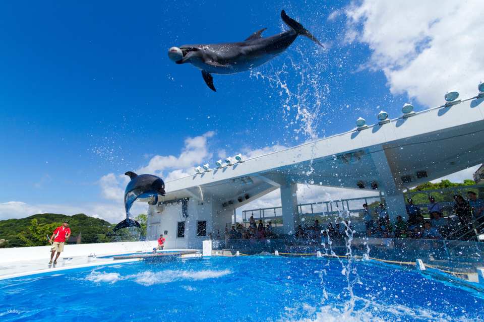 Kujukushima Aquarium Umi Kirara Admission Ticket & Pearl Beading Experience in Nagasaki | Japan