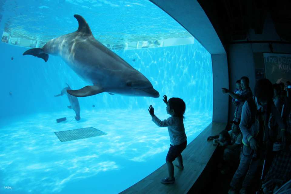 Kujukushima Aquarium Umi Kirara Admission Ticket & Pearl Beading Experience in Nagasaki | Japan