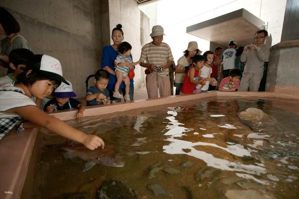 Kujukushima Aquarium Umi Kirara Admission Ticket | Japan