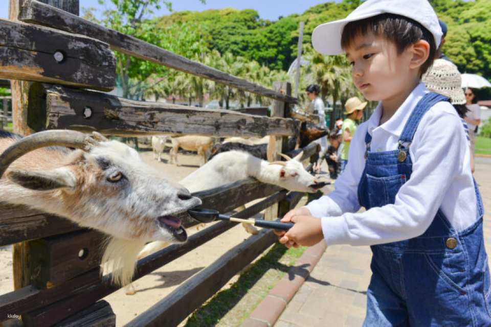Kujukushima Zoological & Botanical Garden Mori Kirara Tickets | Nagasaki
