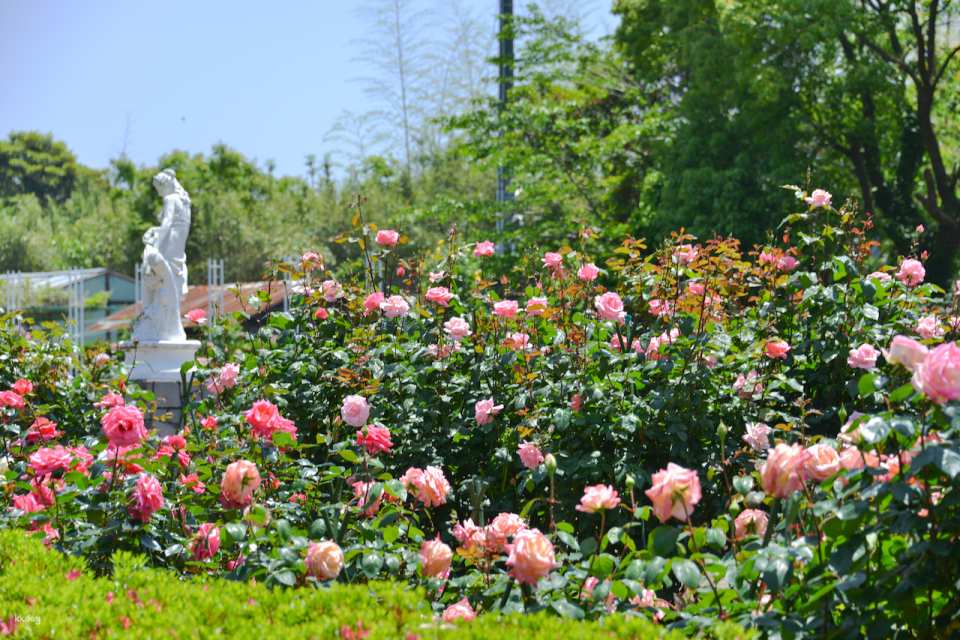 Kujukushima Zoological & Botanical Garden Mori Kirara Tickets | Nagasaki