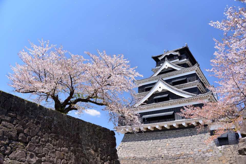 Kumamoto, Japan|Kumamoto Castle Admission Ticket
