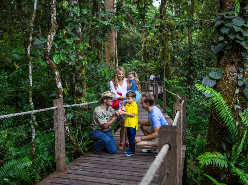 Kuranda Skyrail & Scenic Railway Day Package | Cairns