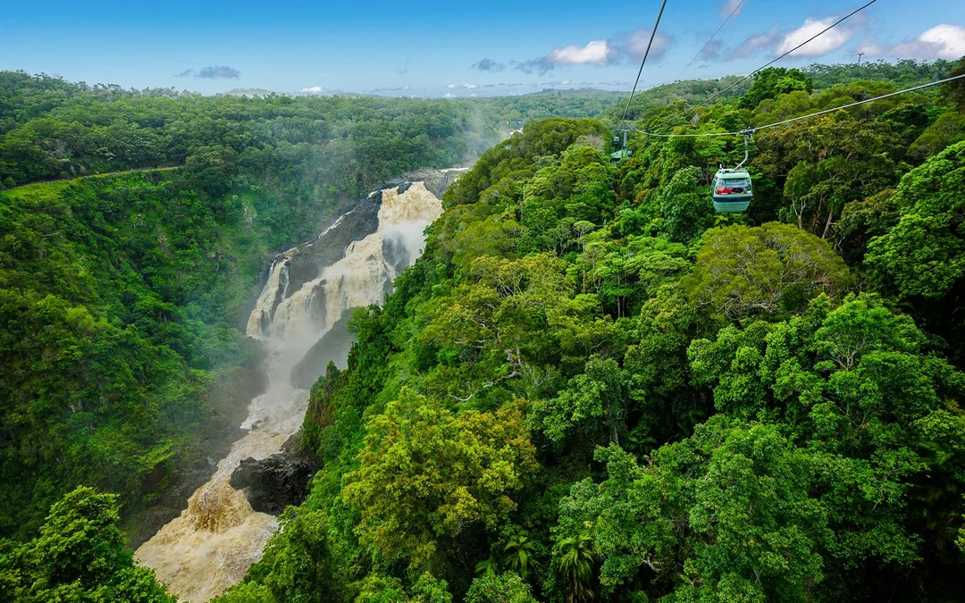 Kuranda Skyrail One-Way Tickets
 Image 4