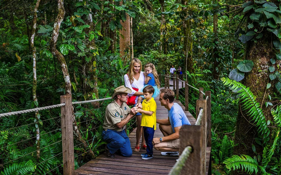 Kuranda Skyrail One-Way Tickets
 Image 5