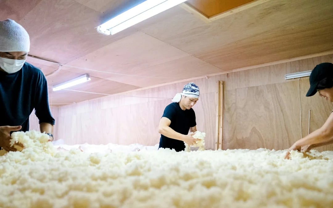 Kurume: Yamanokotobuki Sake Brewery Guided Tour with Tasting Image 3