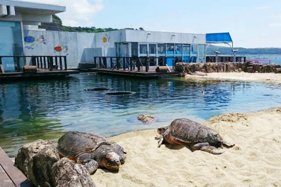Kushimoto Marine Park Center Aquarium/Underwater Observatory Tower Admission Ticket｜Japan