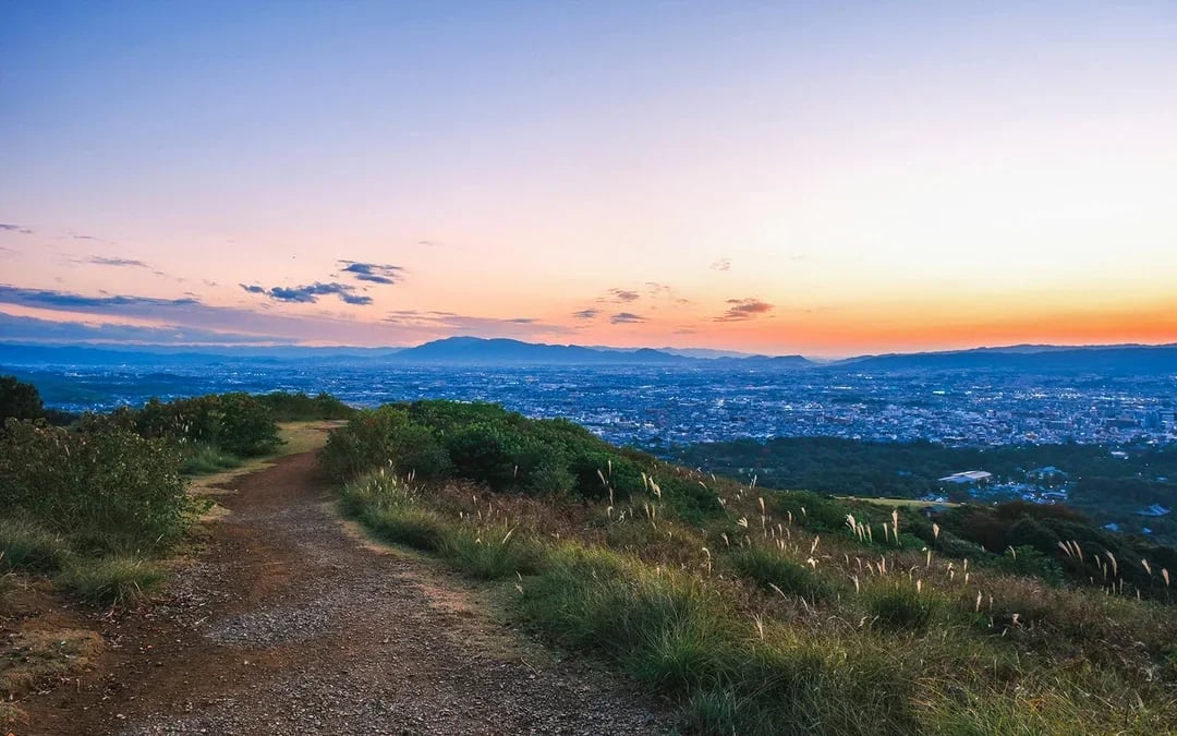 Kyoto & Nara by Private Car: Temples, Deer Park & Scenic Stops Image 8