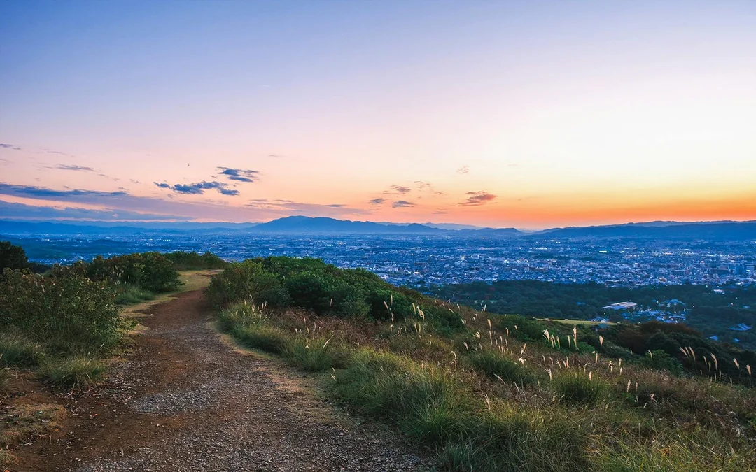 Kyoto & Nara by Private Car: Temples, Deer Park & Scenic Stops Image 8