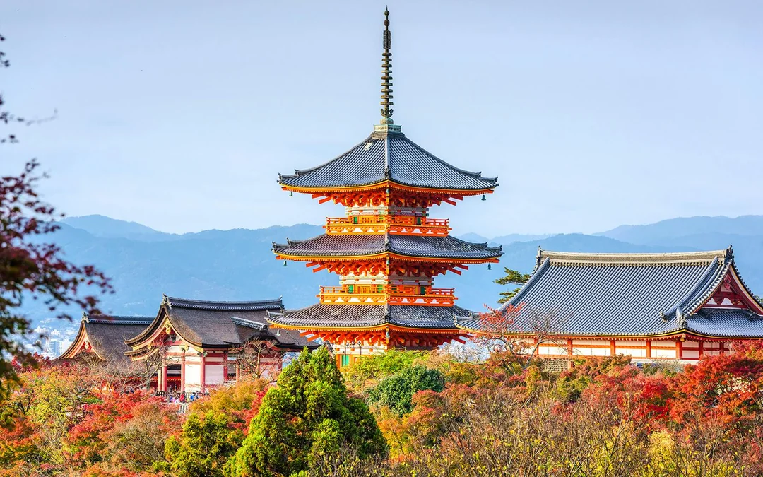 Kyoto & Nara Guided Tour: Temples, Deer Park & Timeless Icons from Osaka/Kyoto Image 2