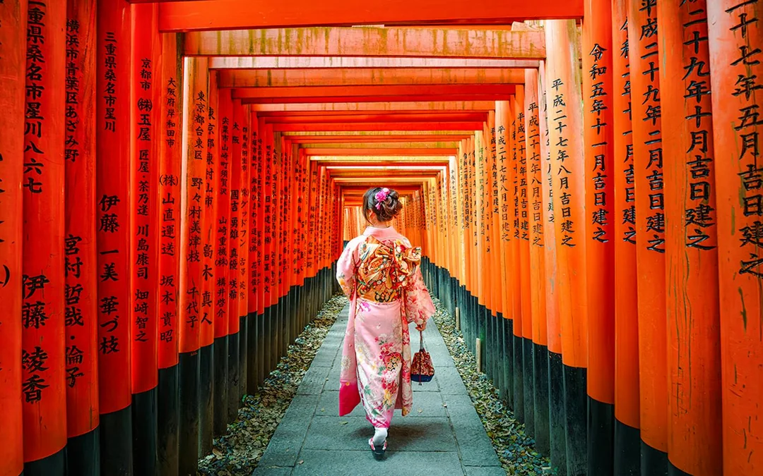 Kyoto & Nara Guided Tour: Temples, Deer Park & Timeless Icons from Osaka/Kyoto Image 3