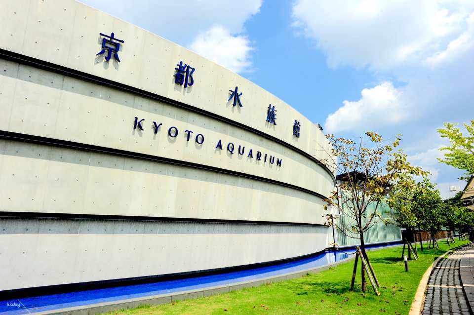 Kyoto Aquarium Admission Ticket | Japan