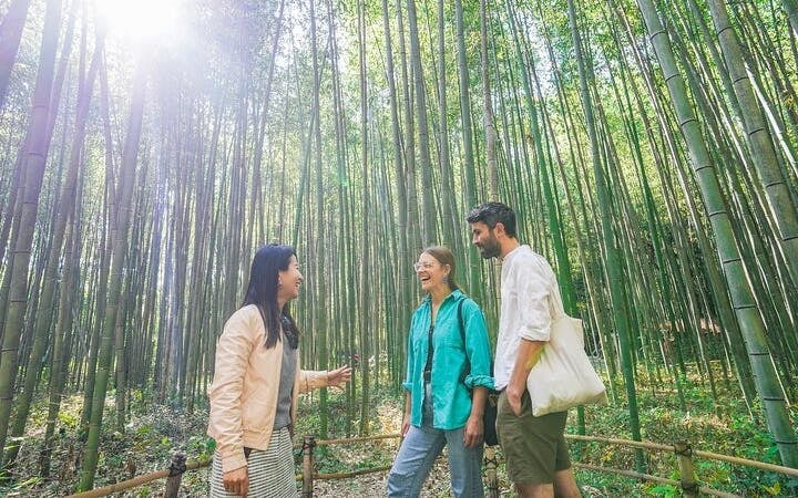 Kyoto Arashiyama Bamboo Forest and Hidden Garden Walking Tour Image 2
