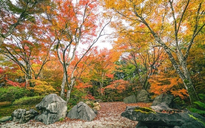 Kyoto Arashiyama Bamboo Forest and Hidden Garden Walking Tour Image 4