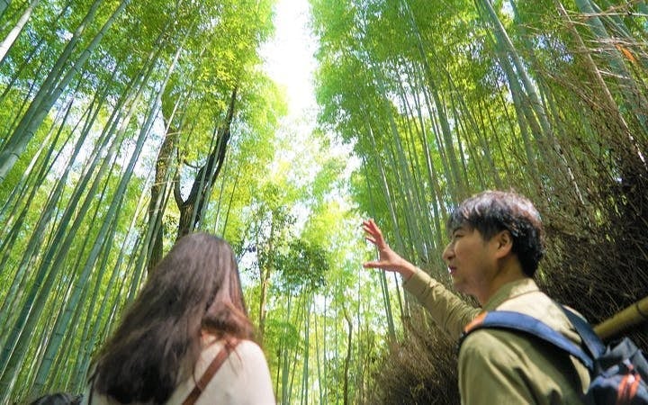 Kyoto Arashiyama Bamboo Forest and Hidden Garden Walking Tour Image 7
