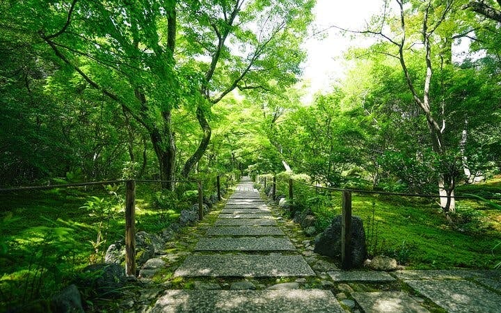 Kyoto Arashiyama Bamboo Forest and Hidden Garden Walking Tour Image 9